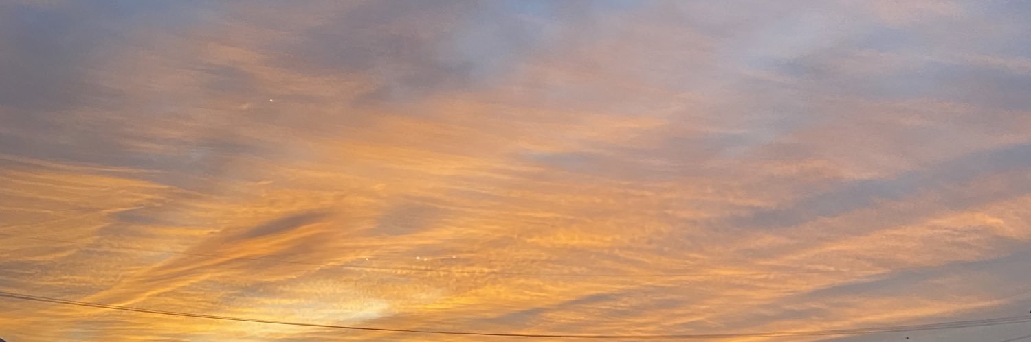 gabyferrer94's profile banner image