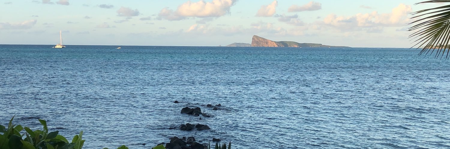 Caroline Dommen banner