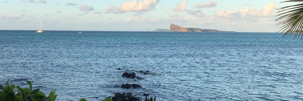 slowfish22 Profile Banner