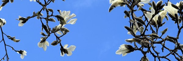 chrisfruitnet Profile Banner