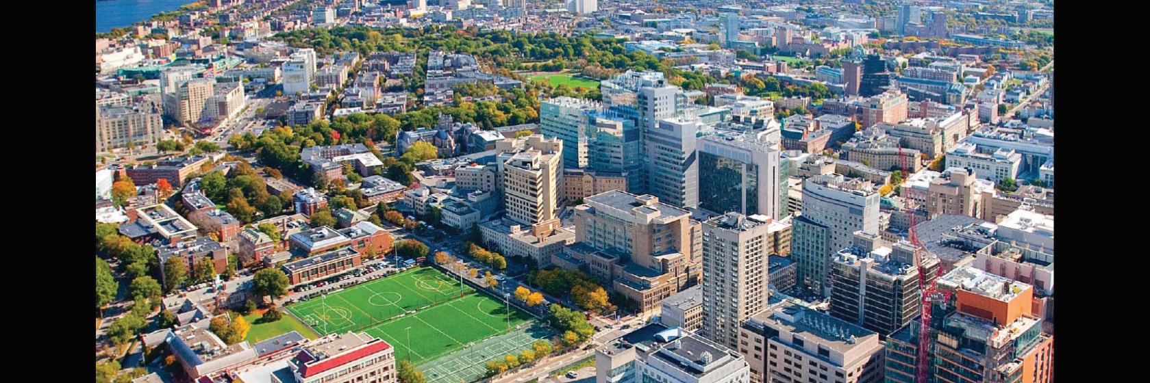 Elliot Chaikof banner