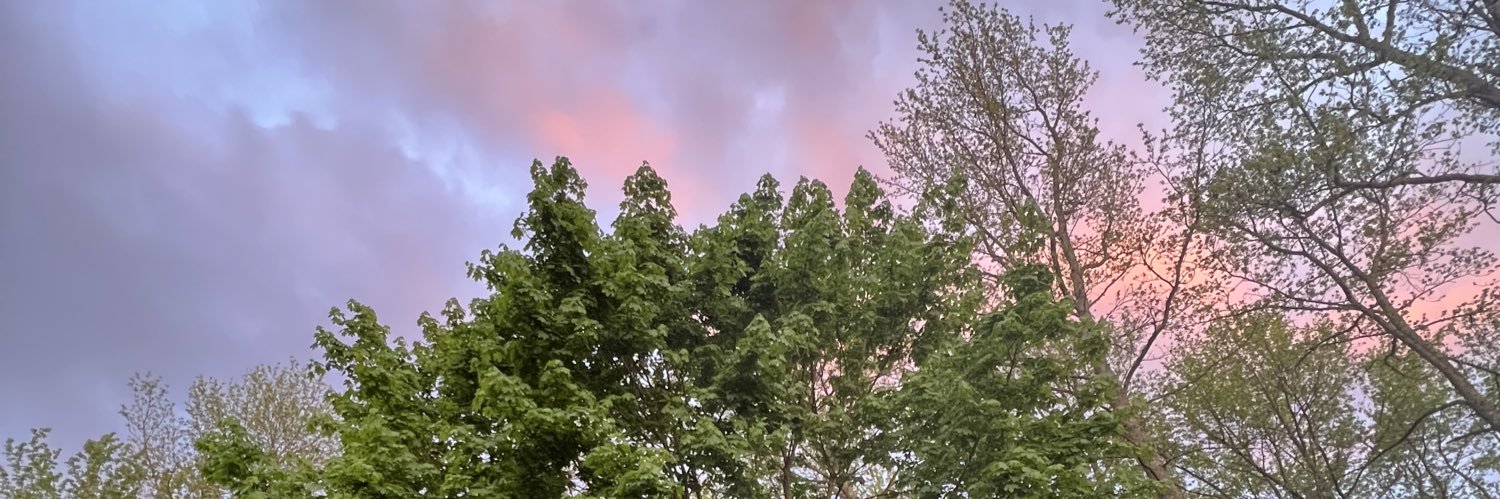TaraDavis15's profile banner image