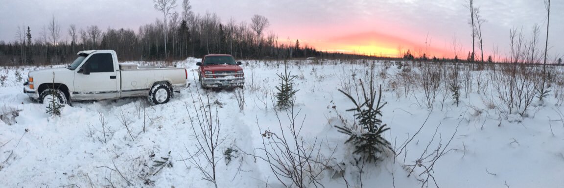 Beanbergman's profile banner image