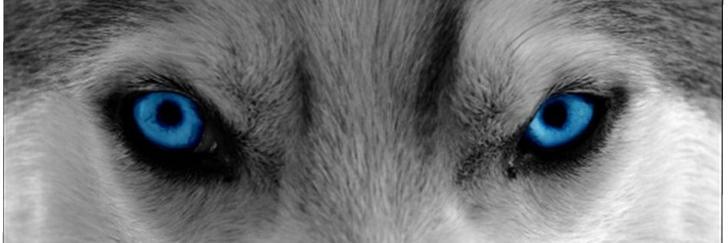 eyesbynee's profile banner image