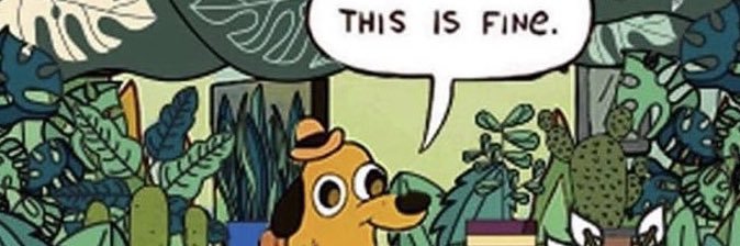 ʇuɐlɐʍ ɐuuɐ banner