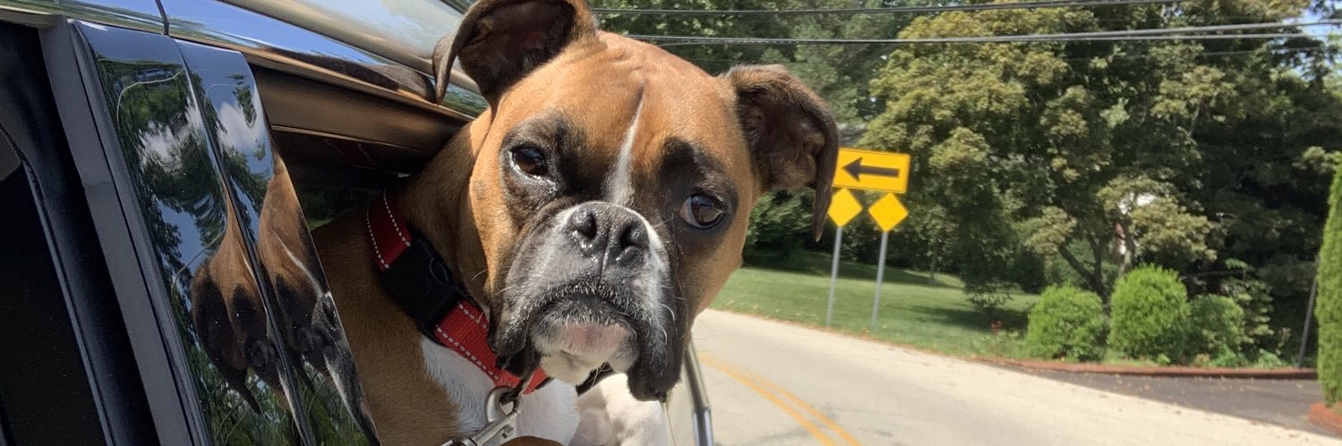 tonileidy's profile banner image
