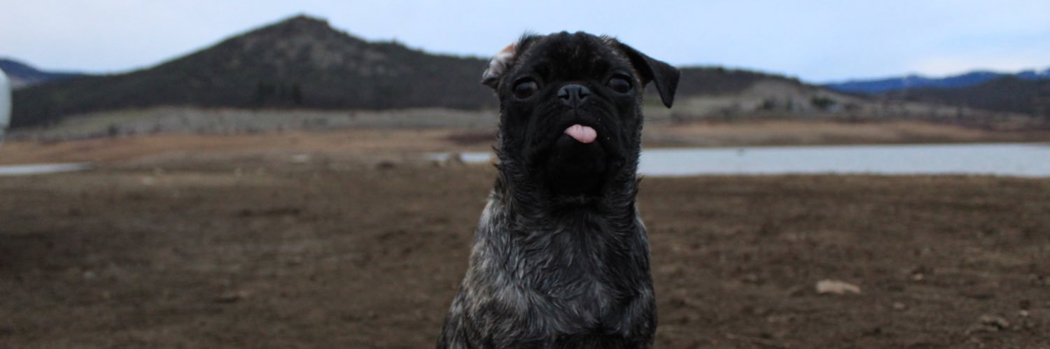 JaydinJameson's profile banner image