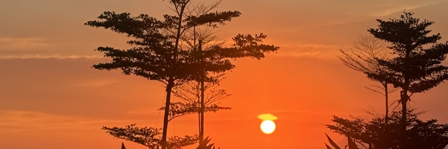 mymaxinne's profile banner image