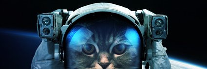 xmonkeymars's profile banner image