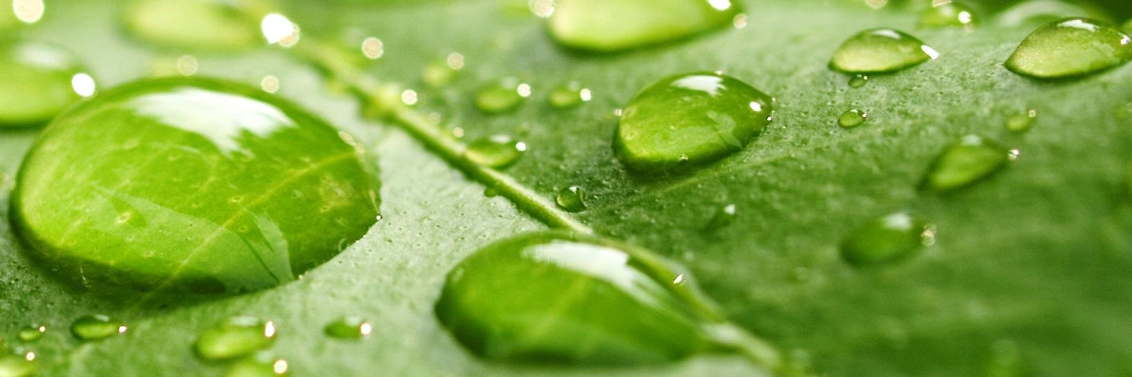 Grønt Punkt Norge banner