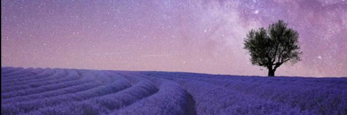 Majdfadel's profile banner image