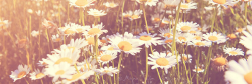 kels_mcintyre's profile banner image