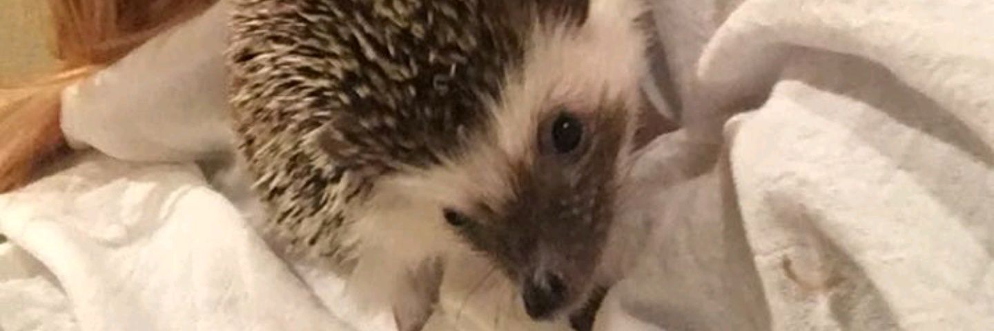 Mightregretthis's profile banner image
