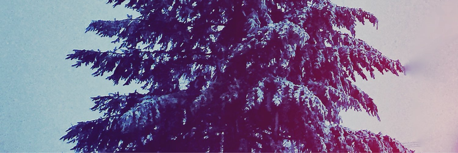 FaithMarieM's profile banner image