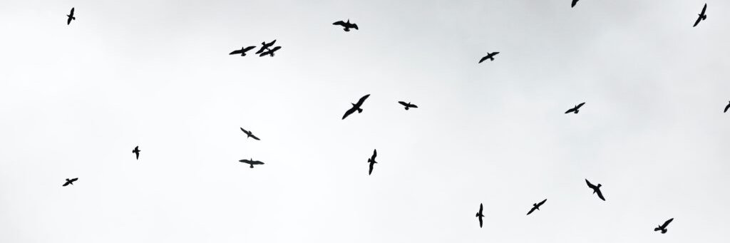 LondonEvolution's profile banner image