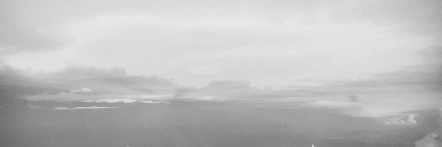 lechiinx's profile banner image