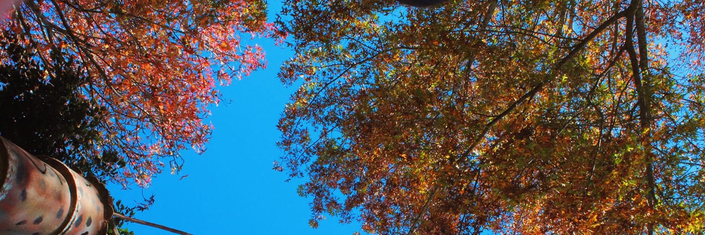 nhasalajoshi's profile banner image