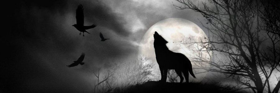 AnthonyCee_26's profile banner image