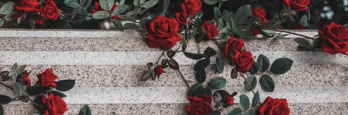 JuliPelizza's profile banner image
