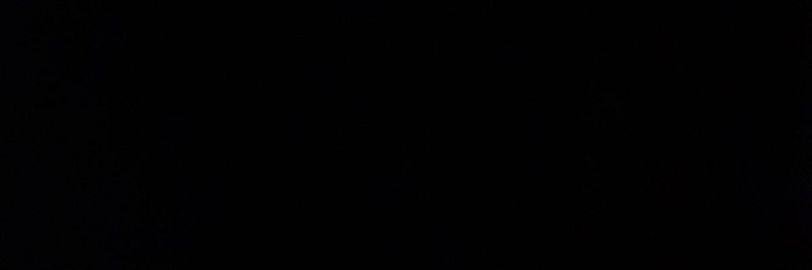 owlychick🟧🦉💙💛🇺🇦🌊 banner