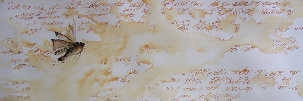 paupellin's profile banner image