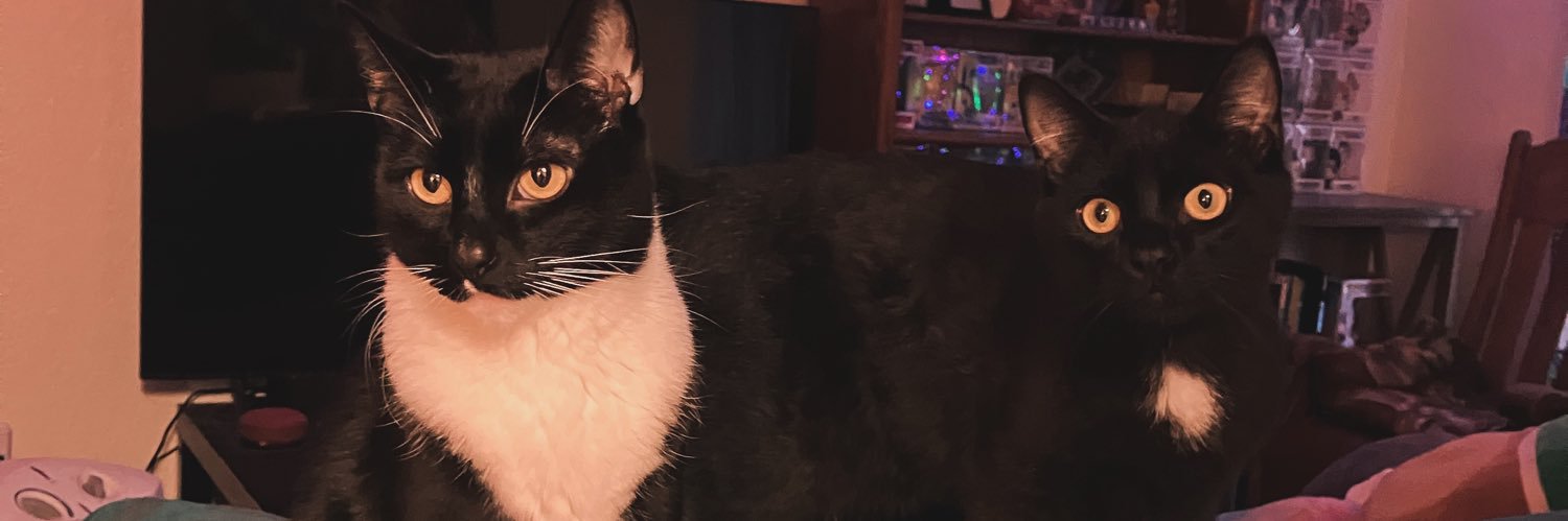 Third-Eye Samurai banner