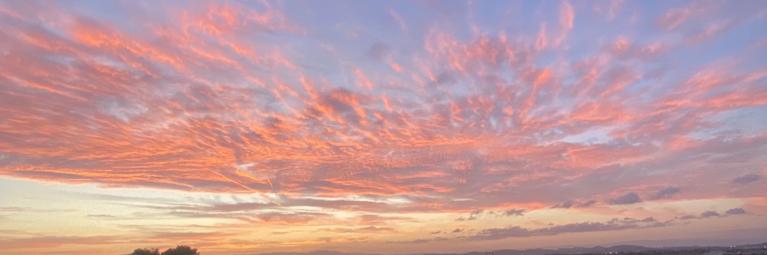gseenchefaena_'s profile banner image