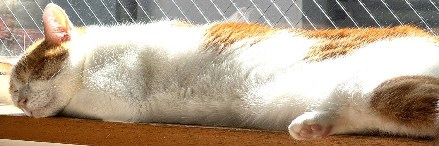 F岡(にゃんにゃんにゃにゃにゃー) banner