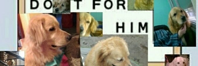 Mo banner
