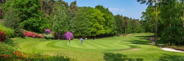 Pin_High Profile Banner