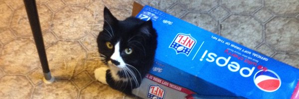 MarkJL07 Profile Banner