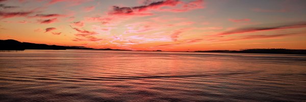 H__Sandhu Profile Banner