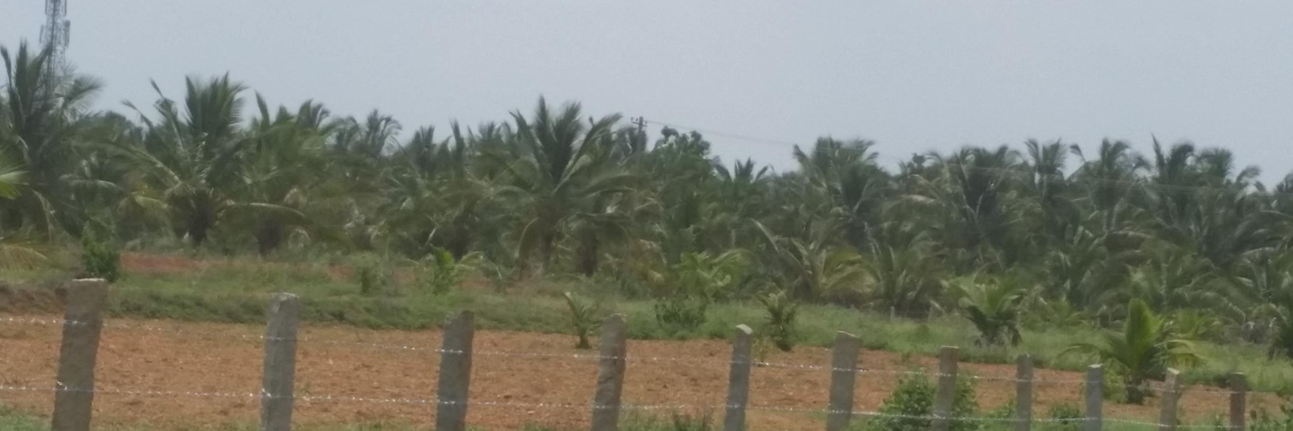 nddevaraj's profile banner image