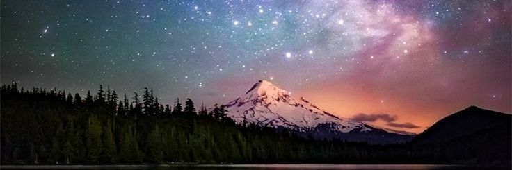 LilyJo90's profile banner image