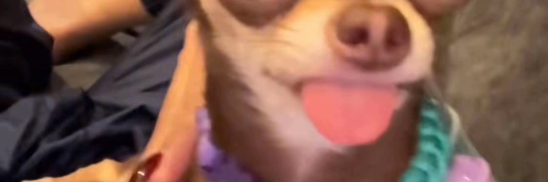 MayMomayz's profile banner image