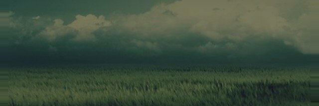 Fuzzy589's profile banner image