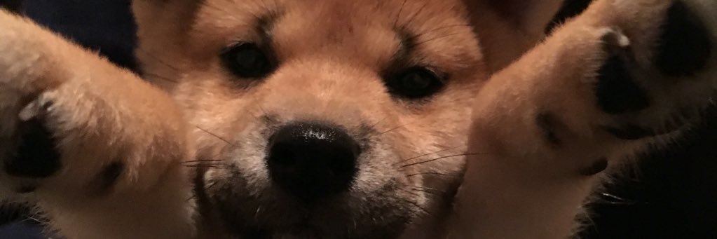 abc_lun's profile banner image