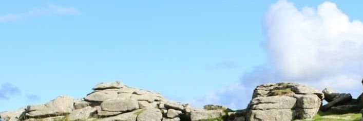 Rosie Redstone banner