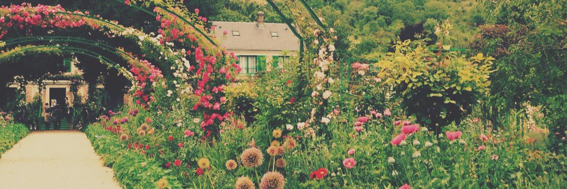 Emmanuelle Faure banner