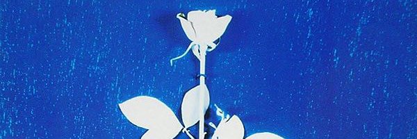 missionmb's profile banner image