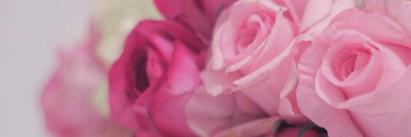 reem1aa12's profile banner image