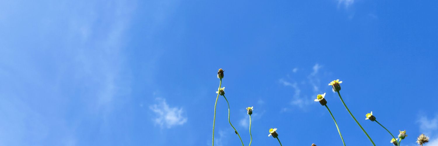 roshangamit11's profile banner image
