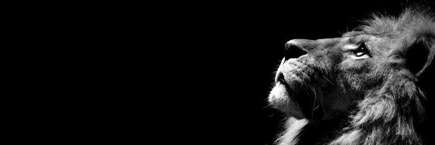 3bmjeeed's profile banner image