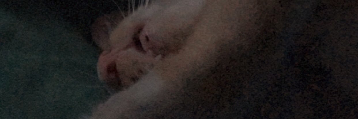 BROJOL banner