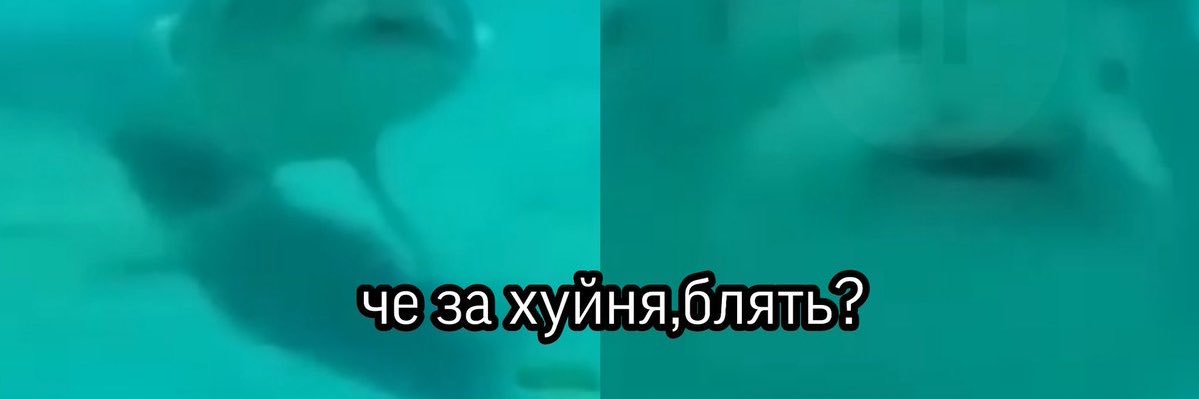 булка banner