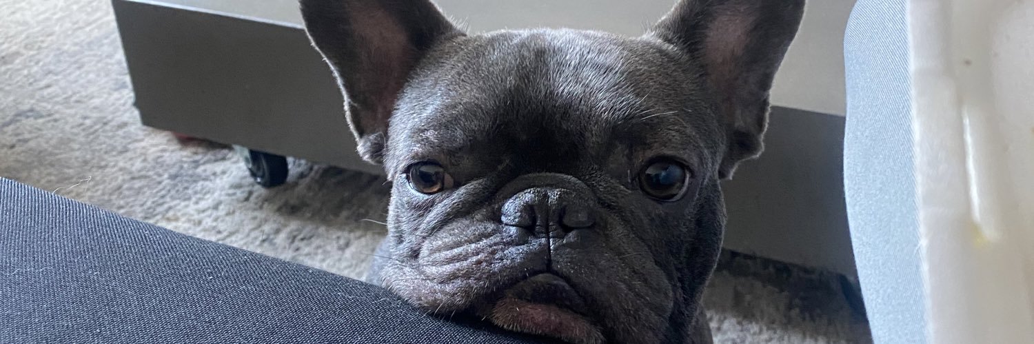 MarissaGisellee's profile banner image
