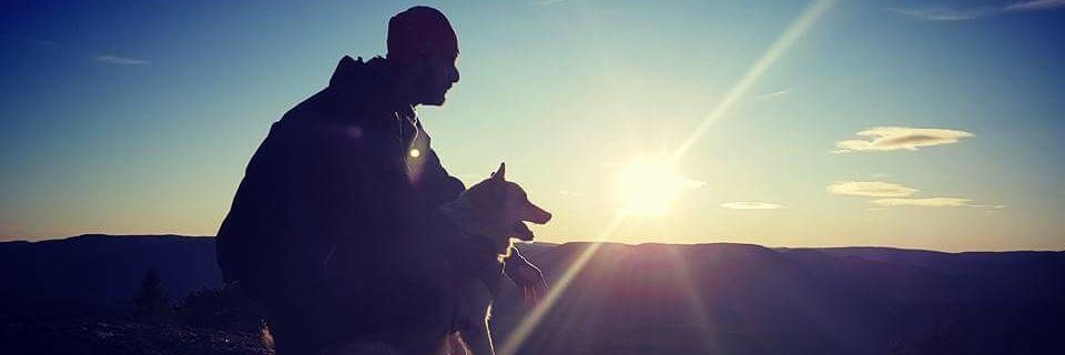 Knut O. Ettestad banner