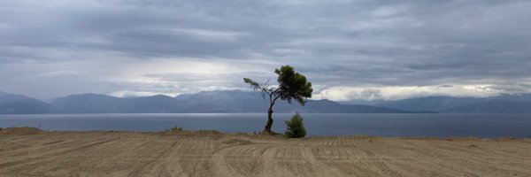 OlgaP14 Profile Banner