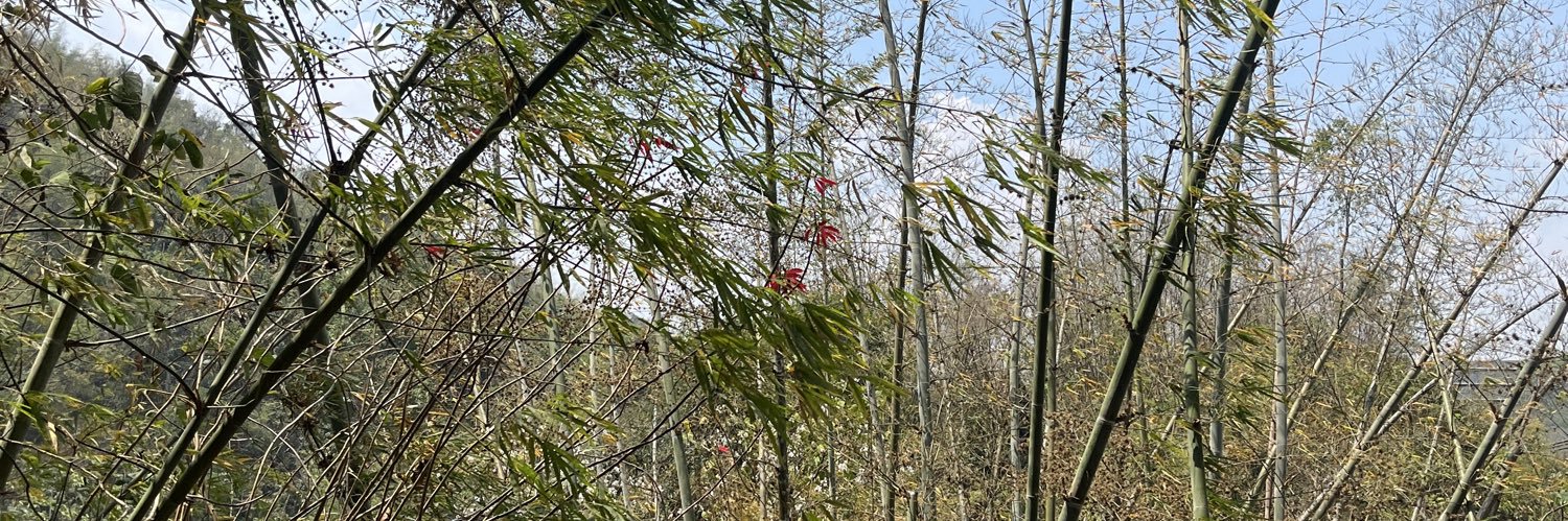 evanww's profile banner image