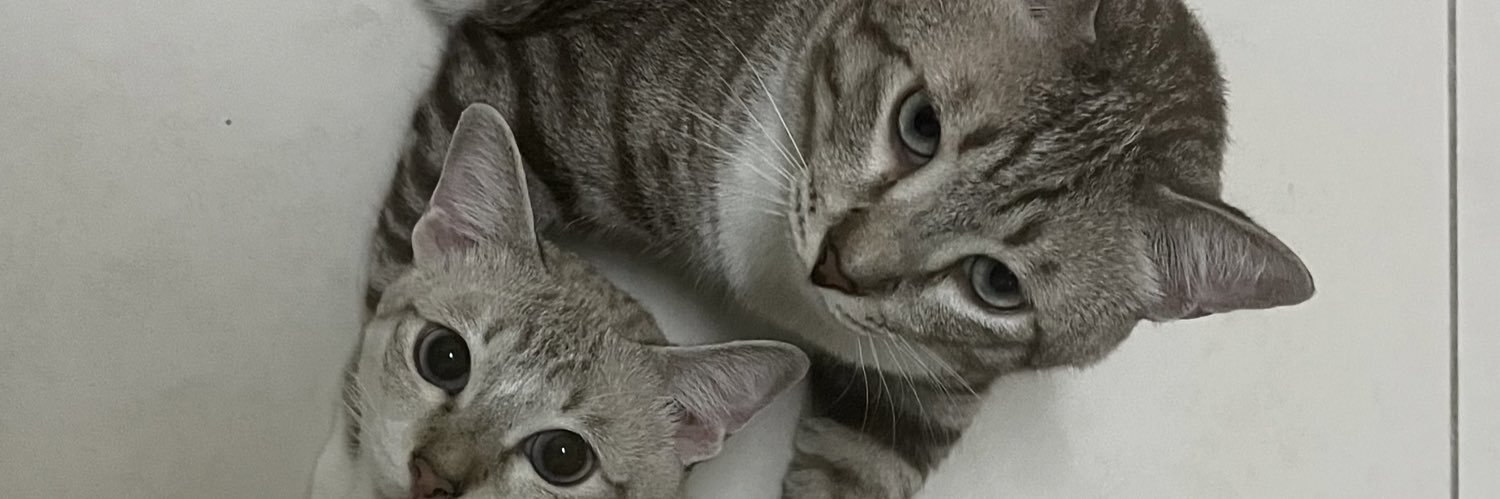 neeAhms's profile banner image